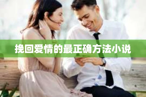 挽回爱情的最正确方法小说