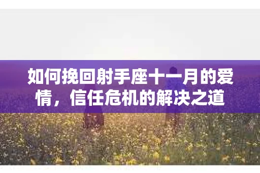 如何挽回射手座十一月的爱情，信任危机的解决之道