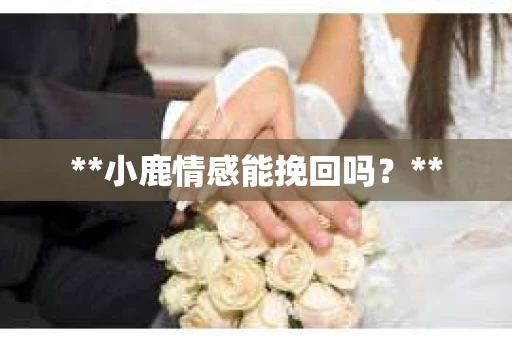 **小鹿情感能挽回吗？**
