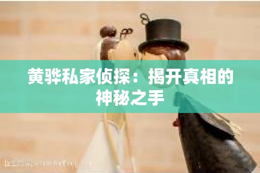黄骅私家侦探：揭开真相的神秘之手