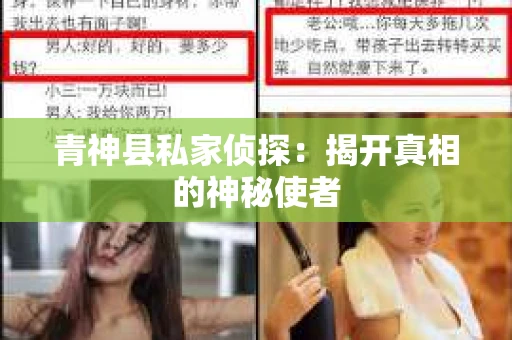 青神县私家侦探：揭开真相的神秘使者