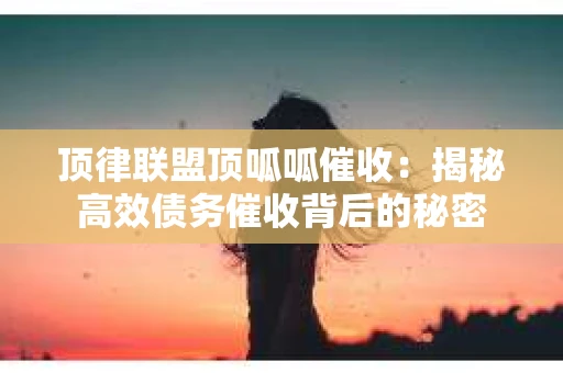 顶律联盟顶呱呱催收：揭秘高效债务催收背后的秘密