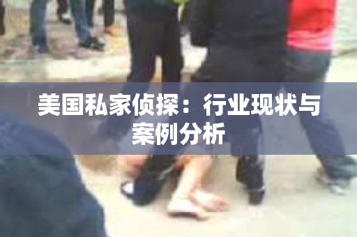 美国私家侦探：行业现状与案例分析